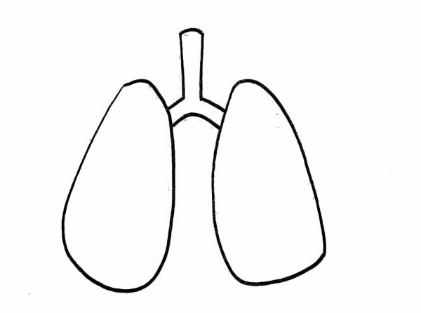 肺炎卡通简笔画画法步骤图片