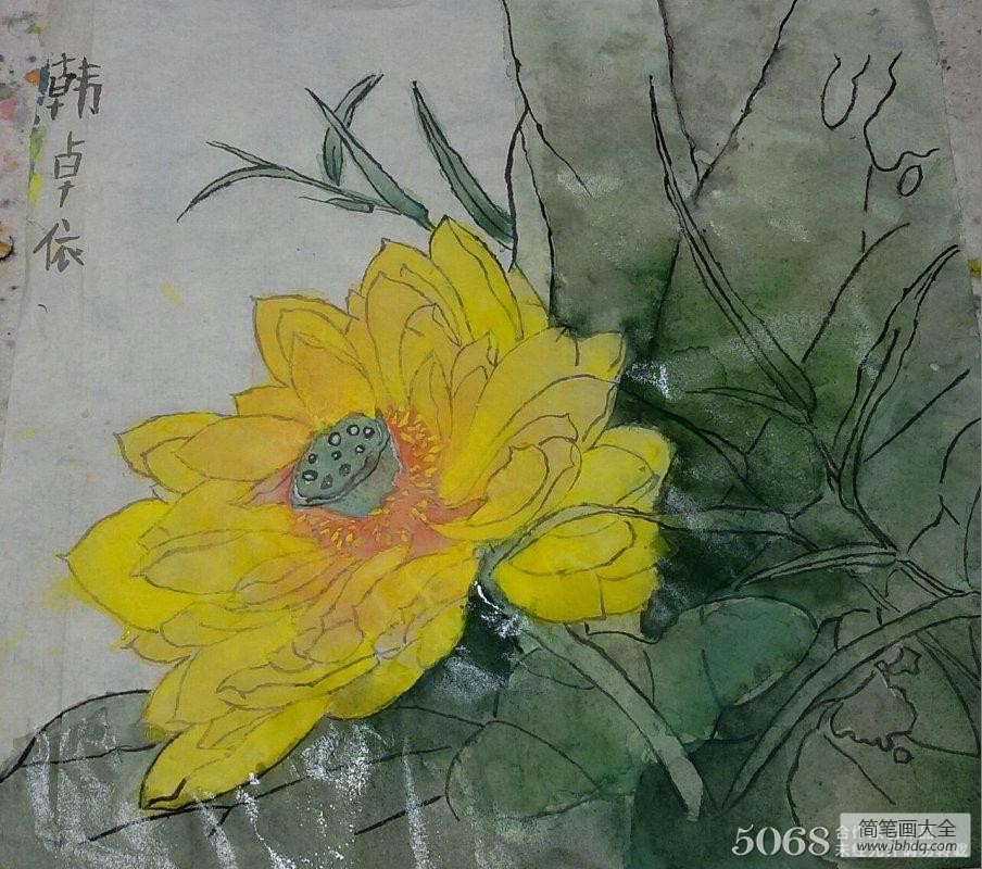 国画写意花鸟入门图片之清水出芙蓉