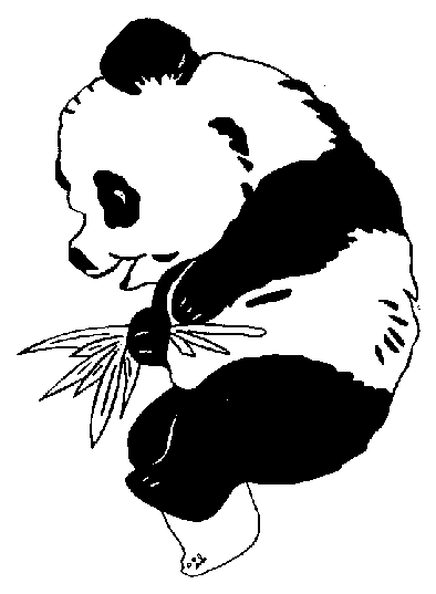 大熊猫简笔画图片3