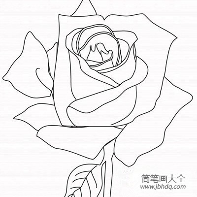 2016手绘玫瑰花简笔画图片