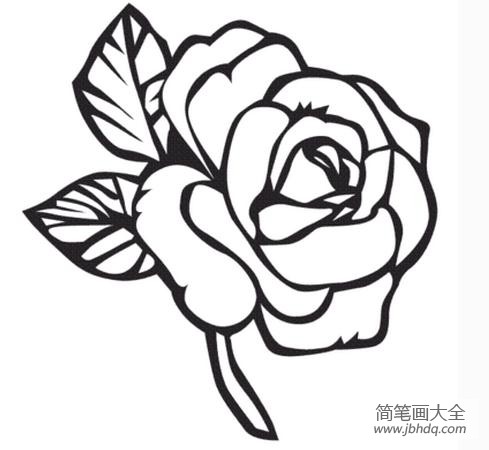 简笔画画玫瑰花 玫瑰花简笔画图片