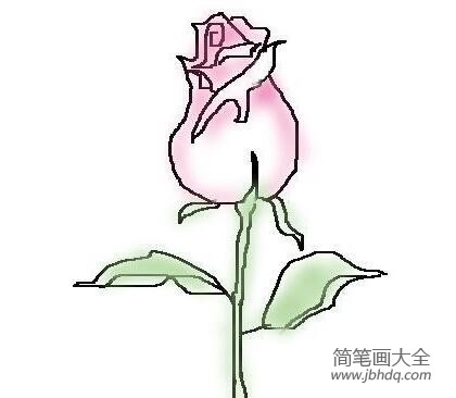 儿童简笔画玫瑰花的画法