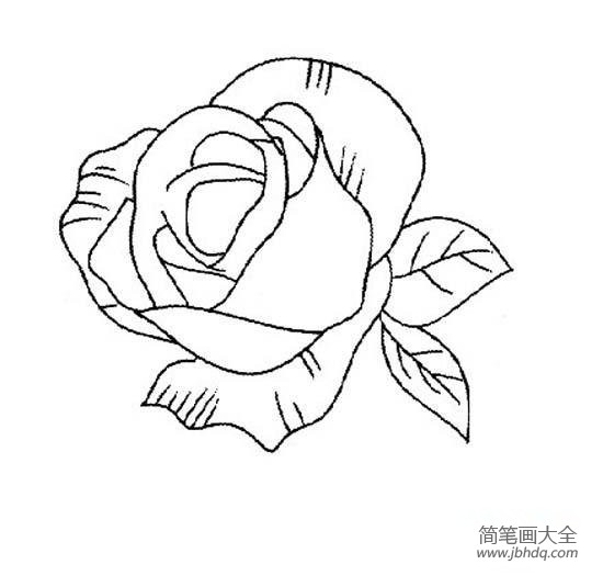 美丽的玫瑰花简笔画