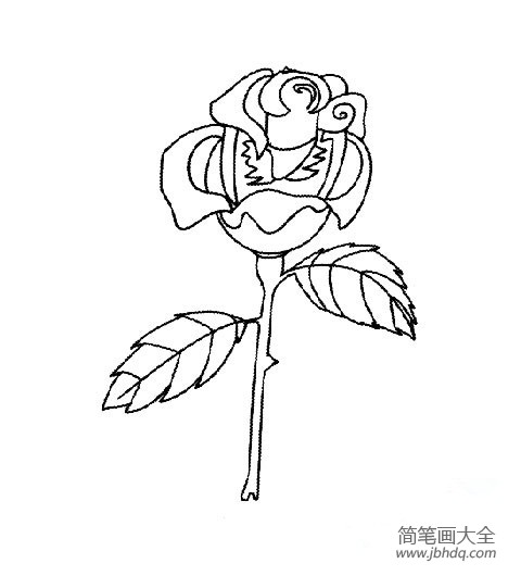 2016手绘玫瑰花简笔画图片