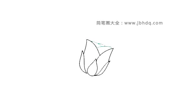 第五步  然后画出从侧面看，花瓣内部的结构，层层叠叠的花瓣。