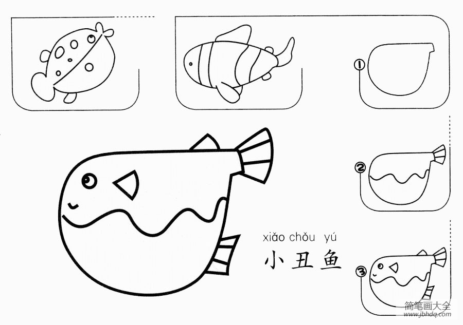 可爱的小丑鱼怎么画