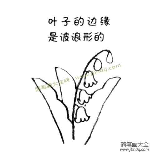 2.画出叶子的轮廓。