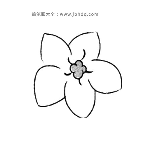 2.再画出最里层的花瓣。