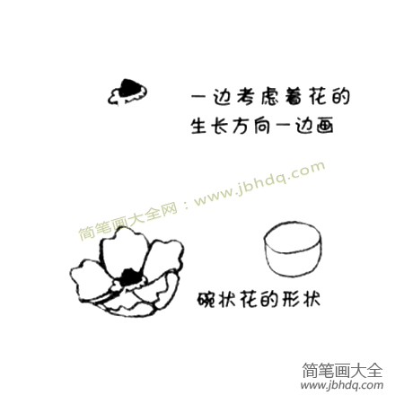 1.画完中心之后，再画出碗状的花萼把中心包围起来。