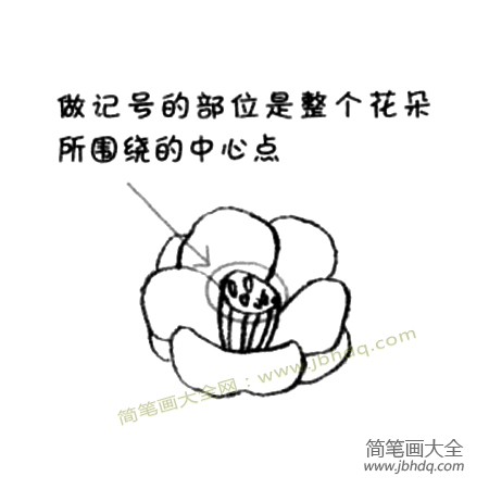 2.画出里面的花瓣儿。