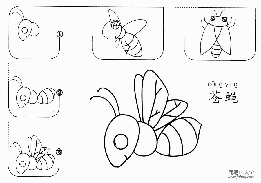 苍蝇怎么画