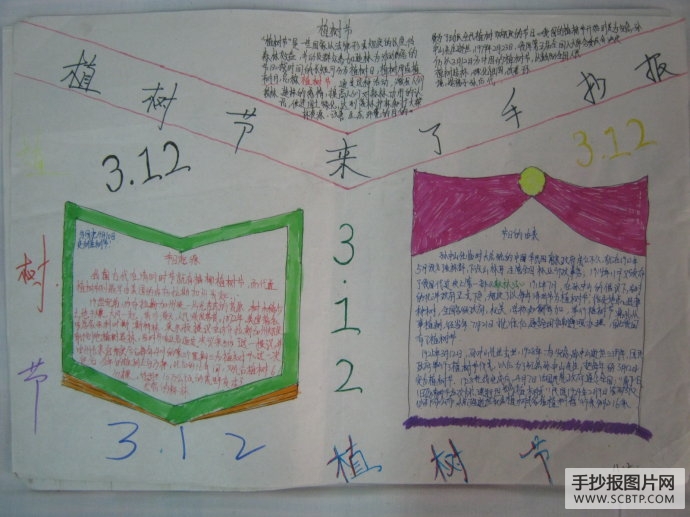 植出一片绿色家园的手抄报