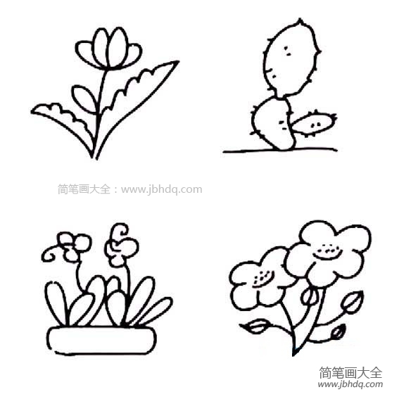 多种可爱的花朵简笔画