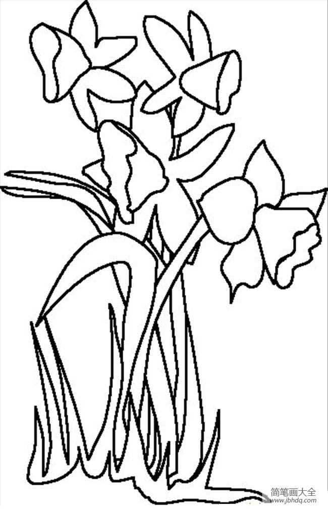 花朵图片 简单的花朵简笔画画法