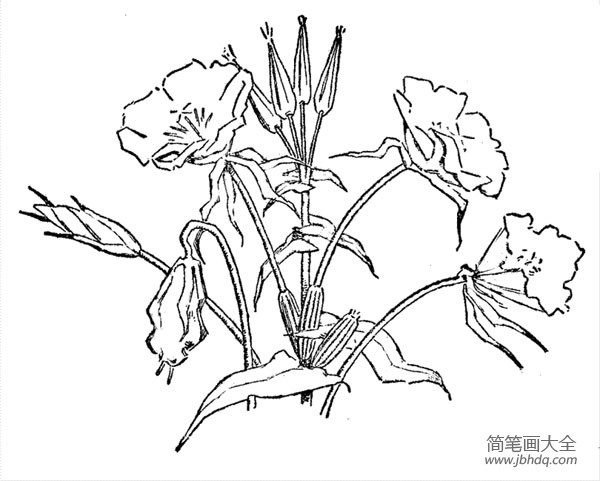 花朵简笔画 花朵的画法简笔画