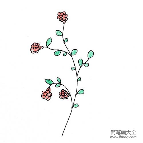 漂亮小花的简笔画大全