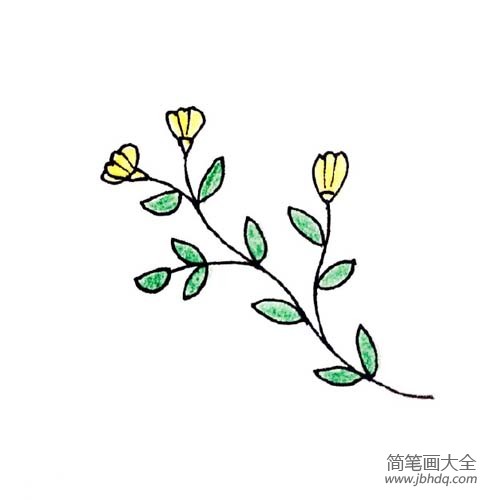 漂亮小花的简笔画大全