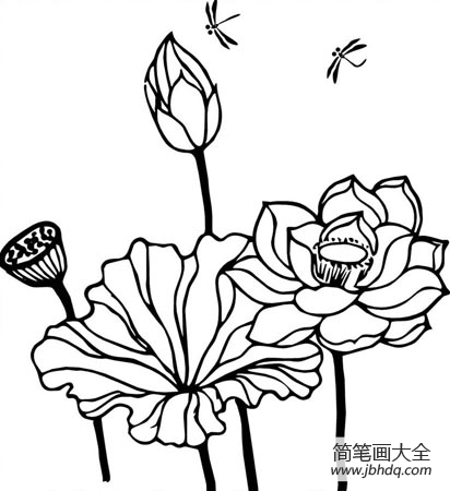 夏花简笔画