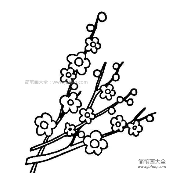 四张梅花简笔画图片