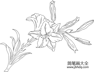 怎么画花朵简笔画 美丽的花朵简笔画