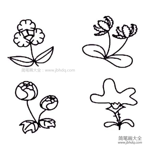 各种花朵简笔画图片