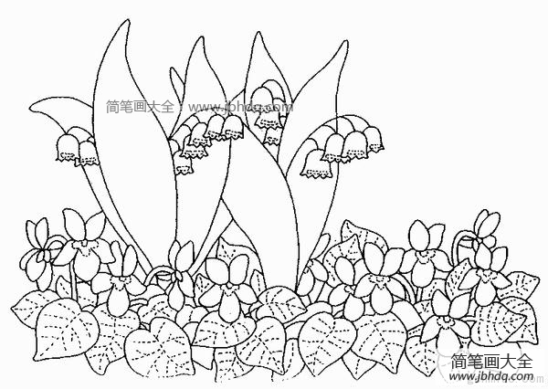 铃铛花简笔画图片