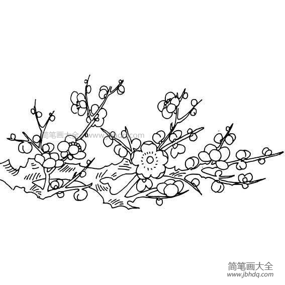 四张梅花简笔画图片