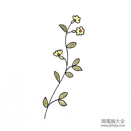 漂亮的小花简笔画画法