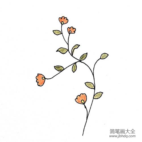 漂亮小花的简笔画大全