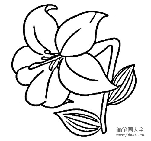 儿童简笔画画花 画花的简笔画图片