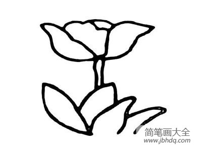 关于花的简笔画大全 画花的简笔画大全