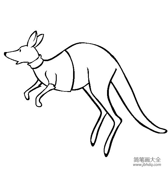 动物简笔画图片 袋鼠简笔画