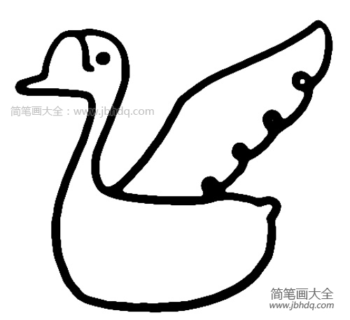 天鹅的简笔画画法