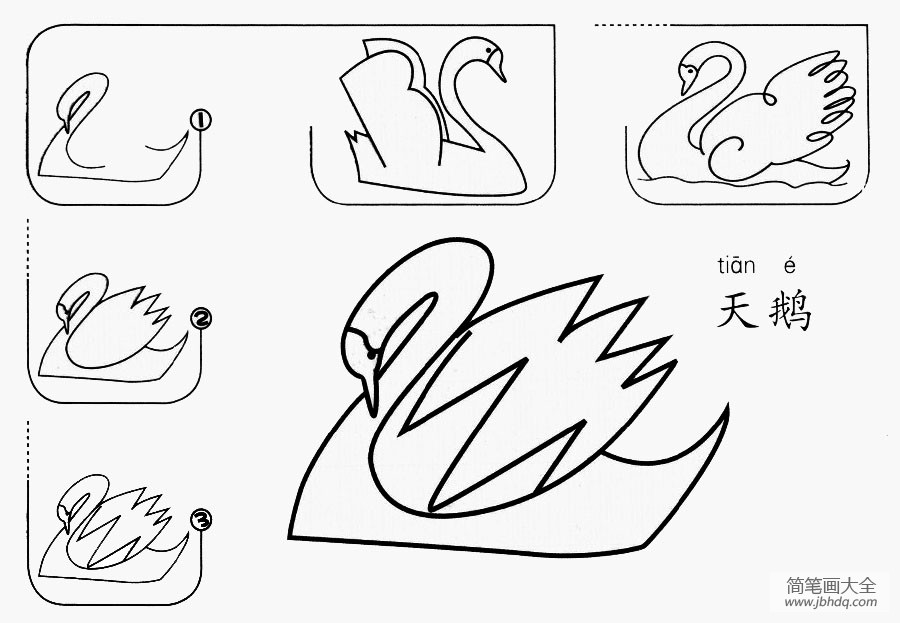 天鹅怎么画