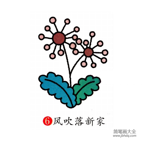 幼儿简笔画 蒲公英的画法