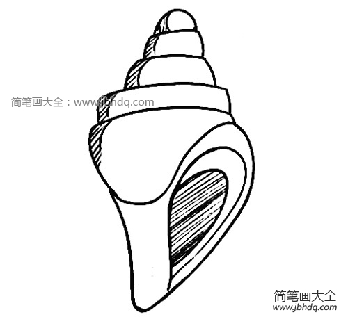 海螺卡通简笔画