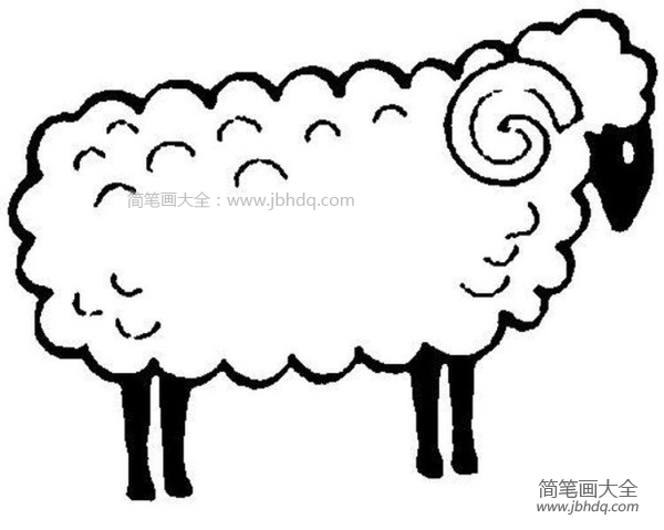 绵羊简笔画图片