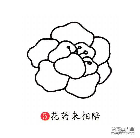 幼儿简笔画 牡丹花的画法