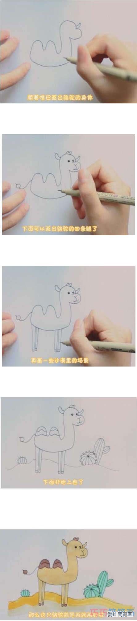 教你如何画骆驼简笔画