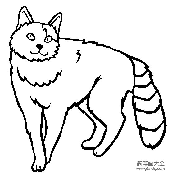 猫咪图片 土耳其梵猫简笔画