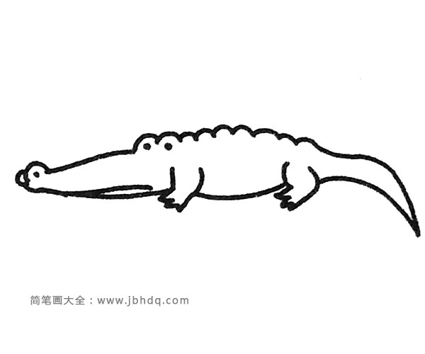 卡通鳄鱼简笔画图片3