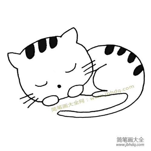 小猫在睡觉简笔画图片