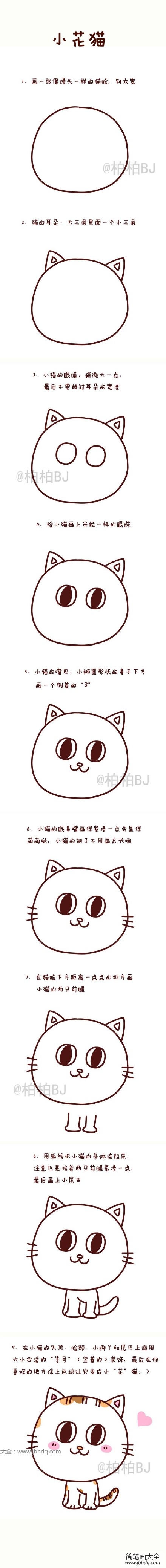 可爱的小花猫简笔画教程