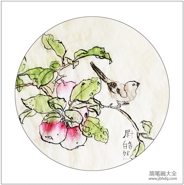 水墨画 小鸟苹果图