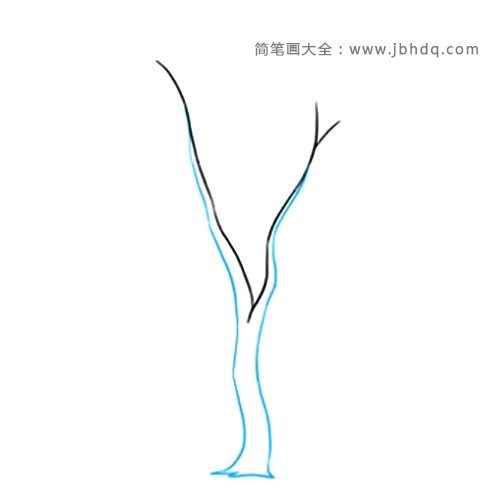 2.绘制另一组长曲线。这就形成了树的树干。