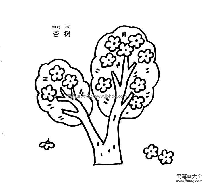 杏树简笔画图片