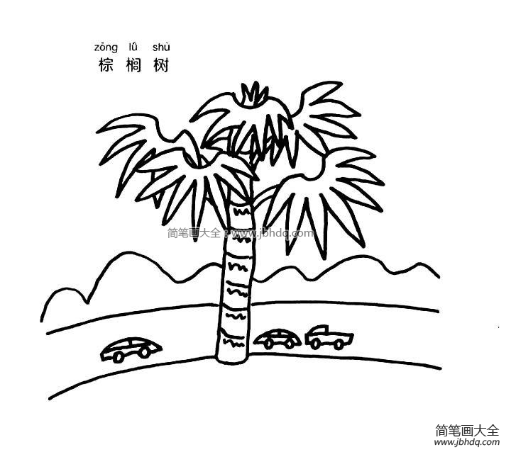 棕榈树