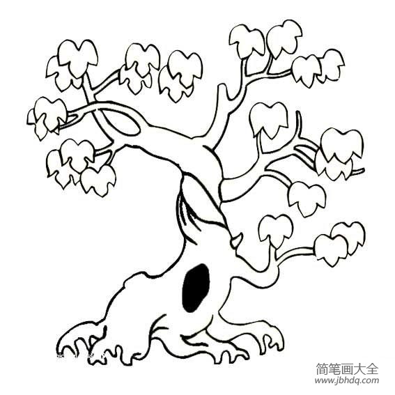 植物简笔画大全 两张好看的枫树简笔画