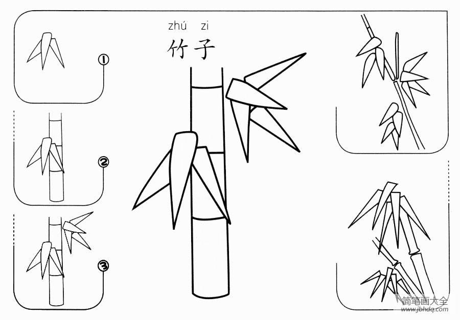 竹子怎么画