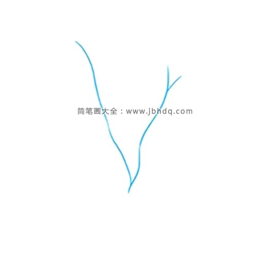 1.首先用长的曲线绘制一个大的“V”形。这构成了树枝的基本轮廓。